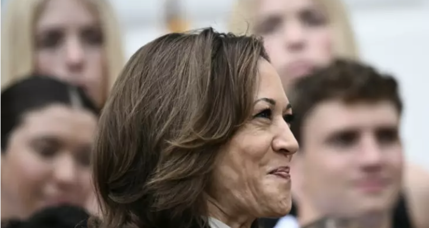 Kamala Harris, "opération cocotier": décryptage d'un symbole de ralliement viral